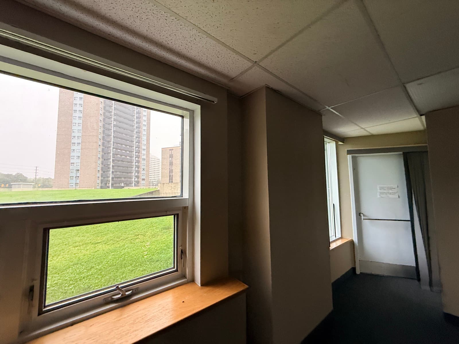 Bright hallway windows overlooking the outdoor green space